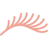 extension ciglia